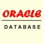 This is Database Software ORACLE7. Chief Technology Officer of Oracle- Larry Ellison. Oracle grew into the largest supplier of database software and the second-largest supplier of business applications in the world. Taking on him is a tough challenge.
