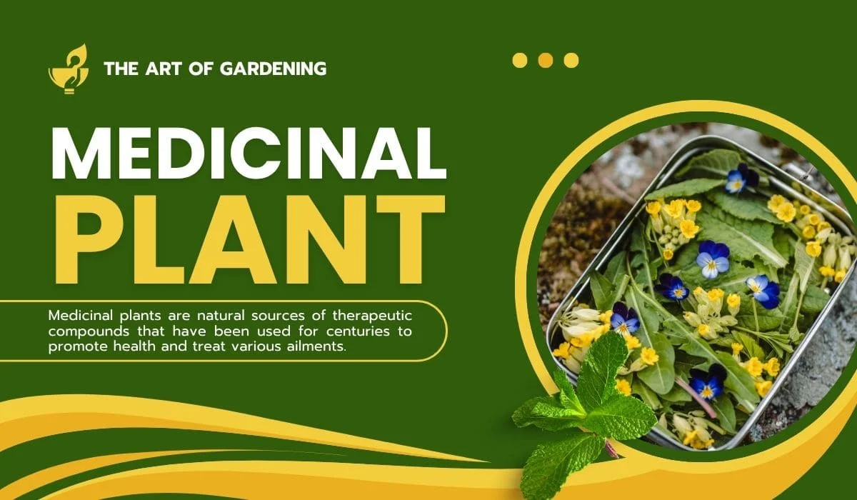 Here an Honest Medicinal Garden Kit Review in 2026
